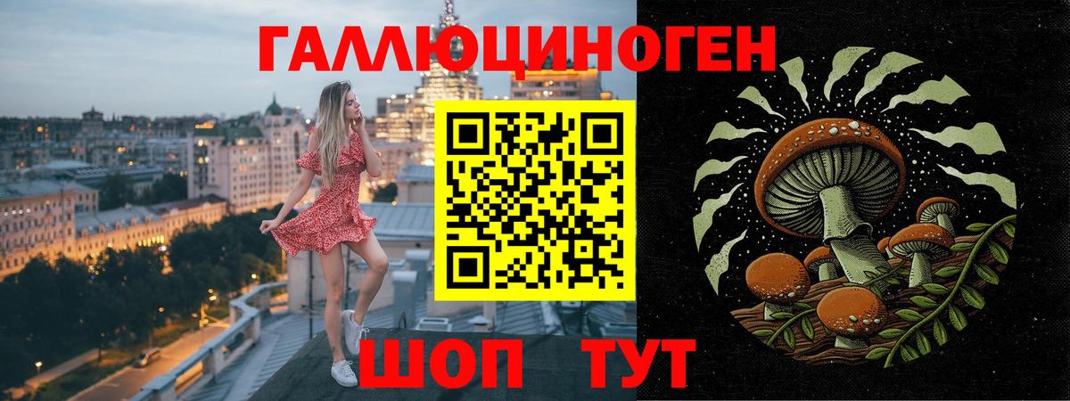 Сергиев Посад  купить  цена  Вход с VPN  Галлюциногенные грибы GOLDEN TEACHER 
