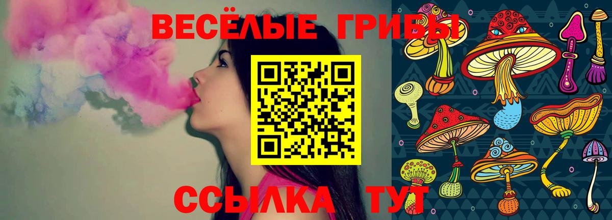 Псилоцибиновые грибы GOLDEN TEACHER Сергиев Посад